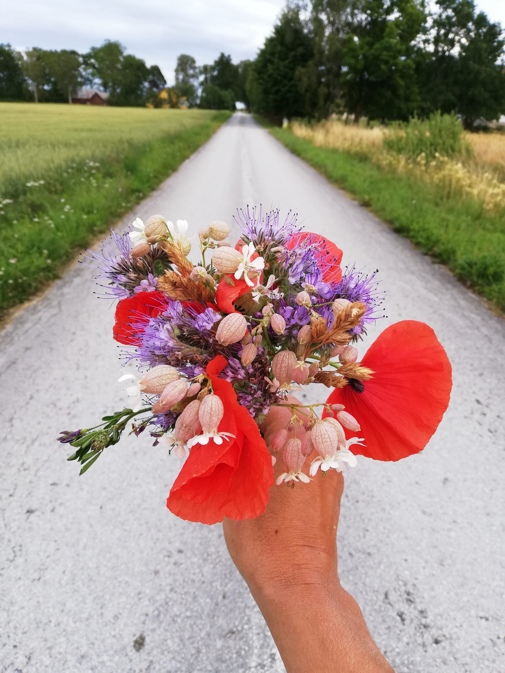 På okänd väg
